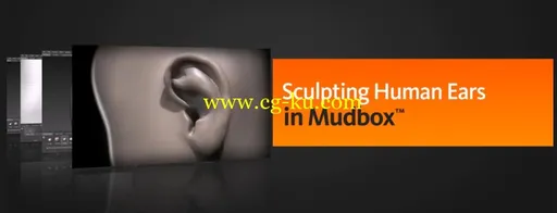 Mudbox 2014 耳朵雕刻教程的图片1