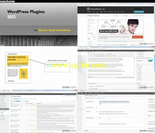 WordPress Plugins: SEO的图片2