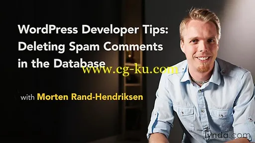 Lynda – WordPress Developer Tips: Deleting Spam Comments In The Database的图片1