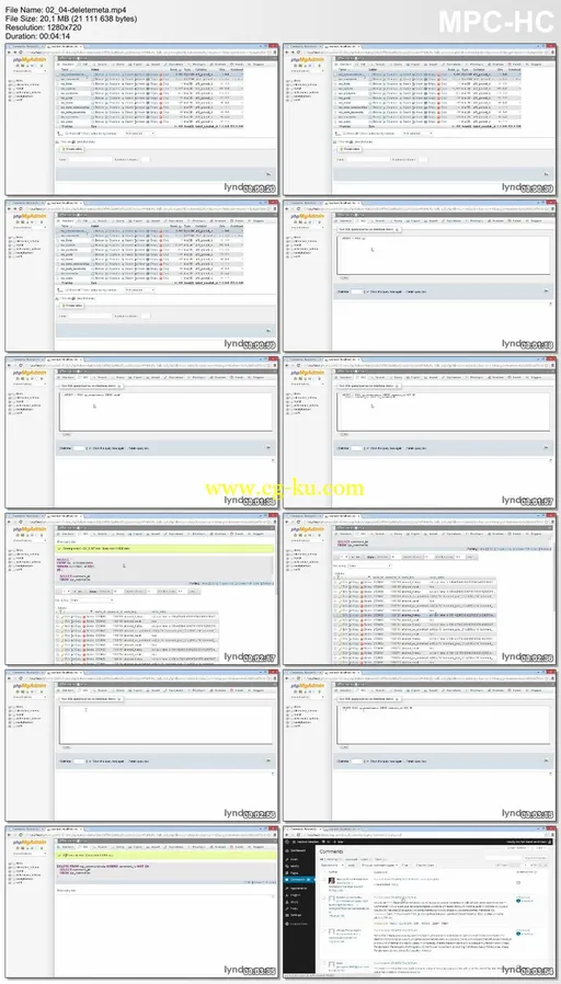 Lynda – WordPress Developer Tips: Deleting Spam Comments In The Database的图片2