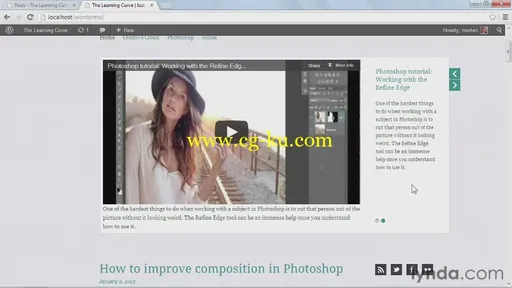 Start With A Theme Video Blogs In WordPress (2013)的图片4