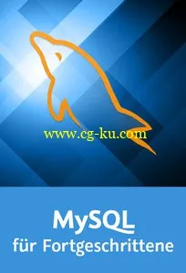 MySQL Für Fortgeschrittene Storage Engines, Stored Procedures, Performance-Optimierung的图片1