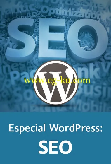 Especial WordPress: SEO的图片1