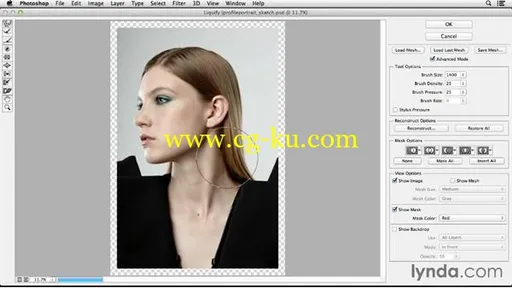 Lynda - Photoshop Retouching Techniques Faces的图片1