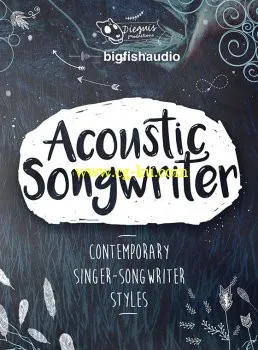 音效下载Dieguis Productions – Acoustic Songwriter MULTiFORMAT的图片1