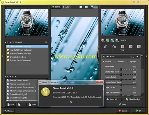 Topaz Detail 3.2.0 DC 04.12.2014的图片2