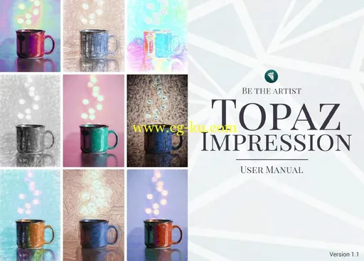 Topaz Impression 1.1.1的图片1