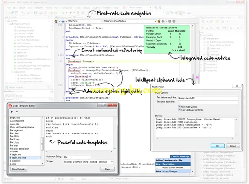 TwoDesk Castalia Suite For Delphi V2014.12的图片1
