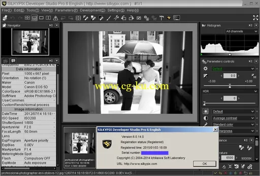 SILKYPIX Developer Studio Pro 6.0.14.0的图片2