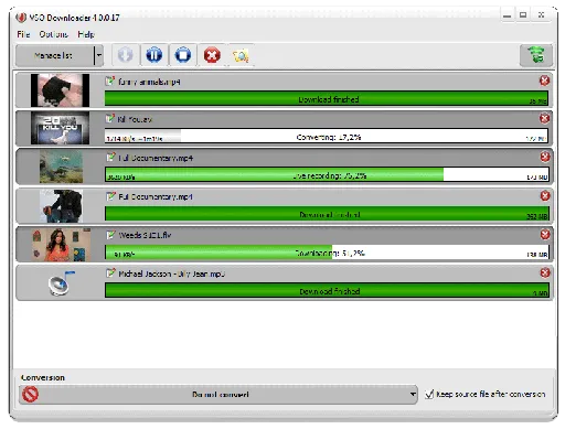 VSO Downloader V4.2.6.2 Multilingual的图片1