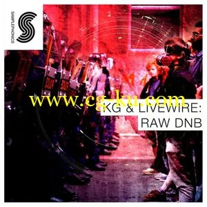 Samplephonics KG And Livewire Raw DnB MULTiFORMAT的图片1