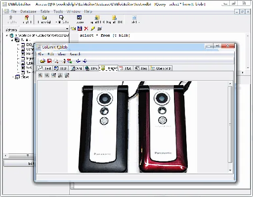 Withdata Software DBBlobEditor 5.7的图片1