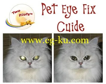 Pet Eye Fix Guide 2.2.5 Multilingual的图片1