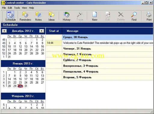 Cute Reminder Standard / Professional Edition 2.6 Build 317的图片1