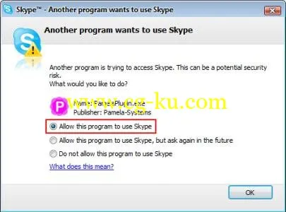 Pamela For Skype Professional / Business 4.9.0.56 Skype助手的图片1