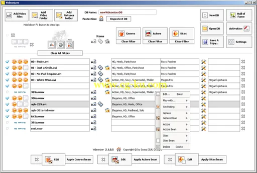 SUU Design Videonizer 3.0.0.3 Platinium的图片1