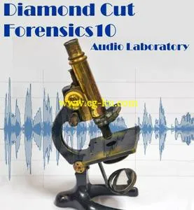 Diamond Cut Forensics10 Audio Laboratory 10.01的图片1