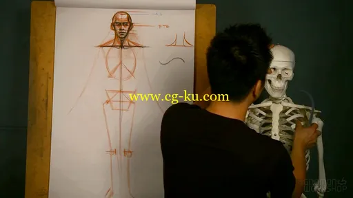 Anatomy Workshop Vol.1-5 With Charles Hu的图片2