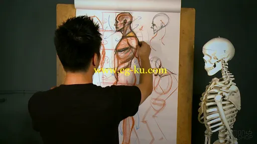 Anatomy Workshop Vol.1-5 With Charles Hu的图片3