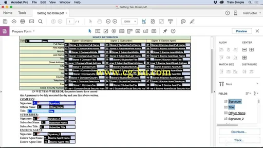 Trainsimple – Acrobat DC Working With Forms的图片3