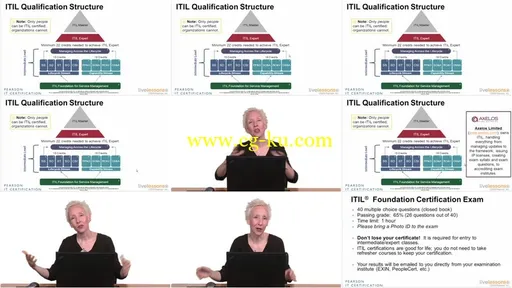 ITIL Foundation Exam LiveLessons的图片2