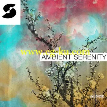 音效下载Samplephonics – Ambient Serenity MULTiFORMAT的图片1