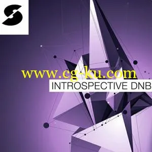 音效下载Samplephonics – Introspective DnB MULTiFORMAT的图片1