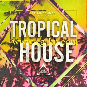 音效下载Triad Sounds Tropical House WAV MiDi的图片1