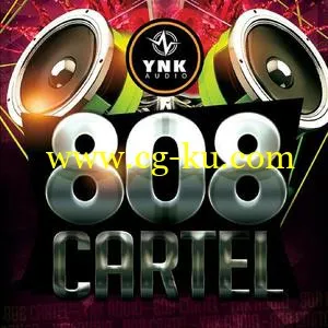 音效下载YnK Audio 808 Cartel ACiD WAV MiDi REX FLP AiFF的图片1