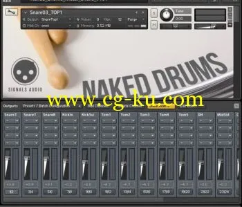 音效下载Wilkinson Audios Naked Drums MULTIFORMAT的图片1