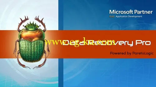 ParetoLogic Data Recovery Pro 2.1.0的图片1