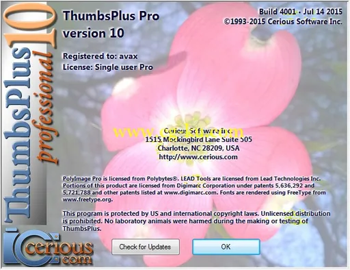 ThumbsPlus Pro 10 SP1 Beta Build 4010的图片1