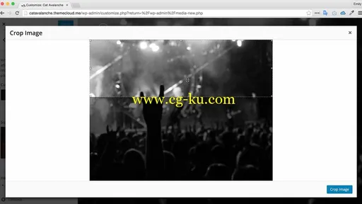 OC – Build quick and beautiful WordPress sites的图片2