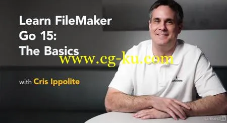 Learn FileMaker Go 15: The Basics的图片1