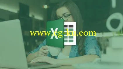 Learn Microsoft Excel 2013 Step by Step的图片1