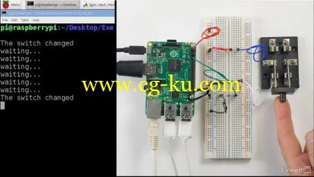 Raspberry Pi GPIO In Depth的图片1