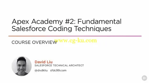 Apex Academy #2: Fundamental Salesforce Coding Techniques的图片1