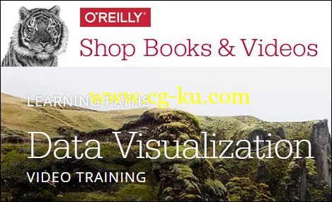 O’Reilly Learning Paths – Data Visualization Video Training的图片1