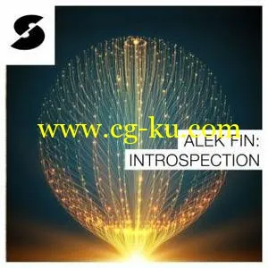 音效下载Samplephonics Alek Fin: Introspection MULTiFORMAT的图片1