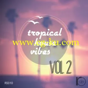 音效下载Roundel Sounds Tropical House Vibes Vol 2 WAV MiDi的图片1