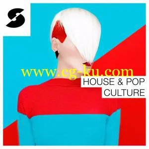 音效下载Samplephonics House and Pop Culture MULTiFORMAT的图片1