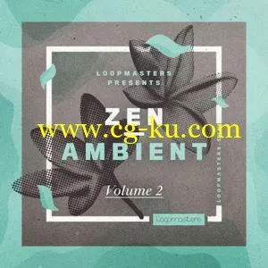 音效下载Loopmasters Zen Ambient 2 MULTiFORMAT的图片1