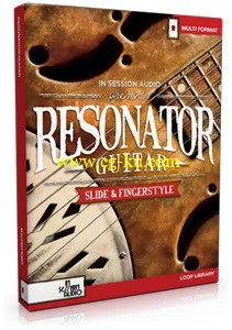 音效下载In Session Audio Resonator Guitar MULTiFORMAT的图片1