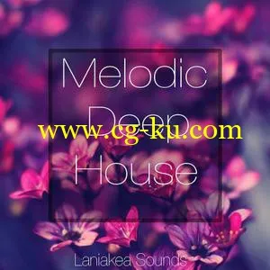 音效下载Laniakea Sounds Melodic Deep House ACiD WAV MiDi MASSiVE的图片1