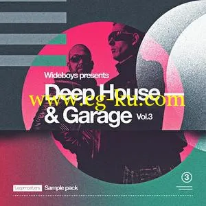 音效下载Loopmasters Wideboys Deep House and Garage Vol 3 MULTiFORMAT的图片1