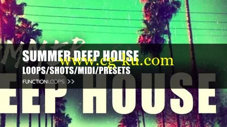 音效下载Function Loops Summer Deep House WAV MiDi的图片1