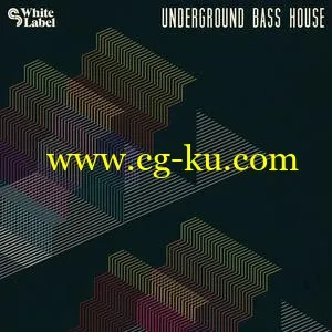 音效下载SM White Label Underground Bass House MULTiFORMAT的图片1