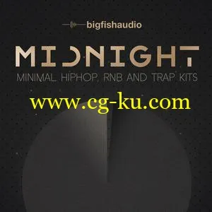 音效下载Big Fish Audio Midnight: Minimal Hip Hop, RnB and Trap Kits MULTiFORMAT的图片1