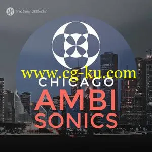 音效下载Pro Sound Effects Library Chicago Ambisonics WAV的图片1