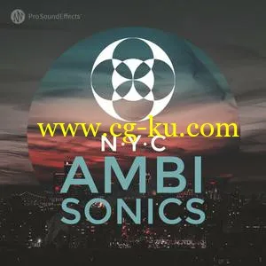 音效下载Pro Sound Effects Library NYC Ambisonics WAV的图片1